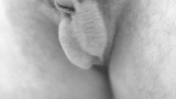 surke_85 Avatar
