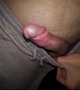 Bogdan279 avatar