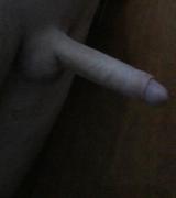 majov45 Avatar