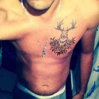 steki12345 Avatar