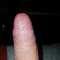 dusko_dugousko Avatar