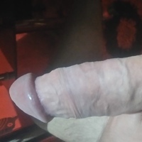 stary_wuyadin Avatar