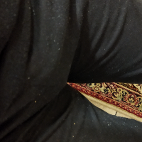 bisex33 Avatar