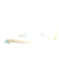 stefann12 Avatar