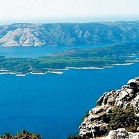 marksimic98765 Avatar