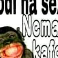 pedja971 Avatar