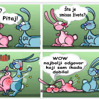 miconi Avatar