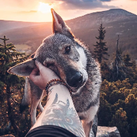 veverica_veca_vecika Avatar