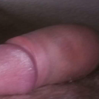 lampica12345 Avatar