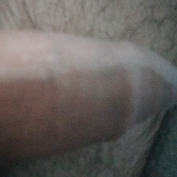 boki981 Avatar