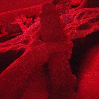 malisavelikim22 Avatar