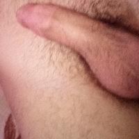 nebitnoo1241 Avatar