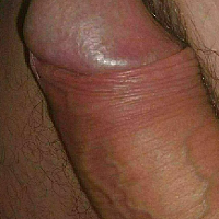 Lion100 avatar