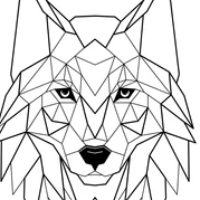 mare977 avatar