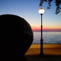 BblfSnVDlndLgDjgx Avatar