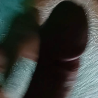 venti Avatar