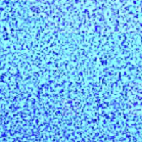 nai20 Avatar