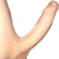 najpenis123 Avatar