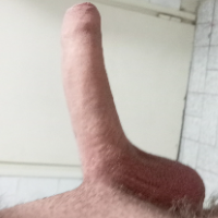 bradonja24 Avatar