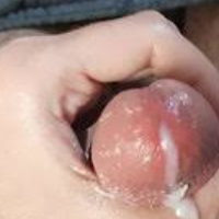 Nikola147 Avatar