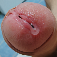 vucko Avatar