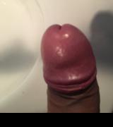 Mrkic241 avatar