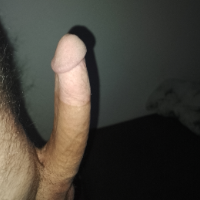 Mrki979 avatar