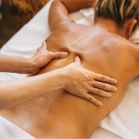 dragan833 Avatar