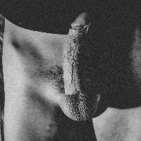 jebacizcentra Avatar