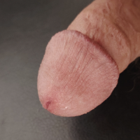 pss Avatar