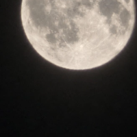 ljubimdapukne Avatar
