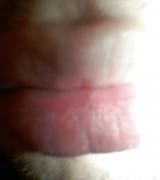dudlamnis Avatar