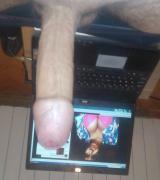 vozdovac91 Avatar