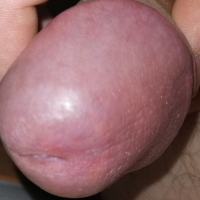 sex13 Avatar