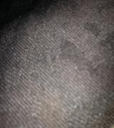 snorki Avatar