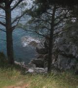 dekac Avatar