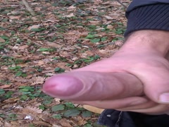 Drkanje i svrsavanje u sumici sa dosta sperme