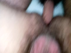 Jebanje  dlakavog meda u dlakavu guzu