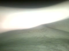Thumb 6