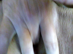 Thumb 15