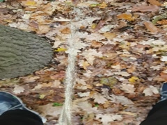 Thumb 6