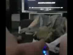Thumb 6