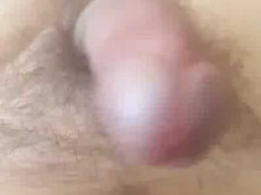 Kurac kad vidi pičku